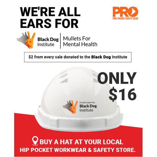 WORKWEAR, SAFETY & CORPORATE CLOTHING SPECIALISTS  - BLACK DOG V6 HARD HAT